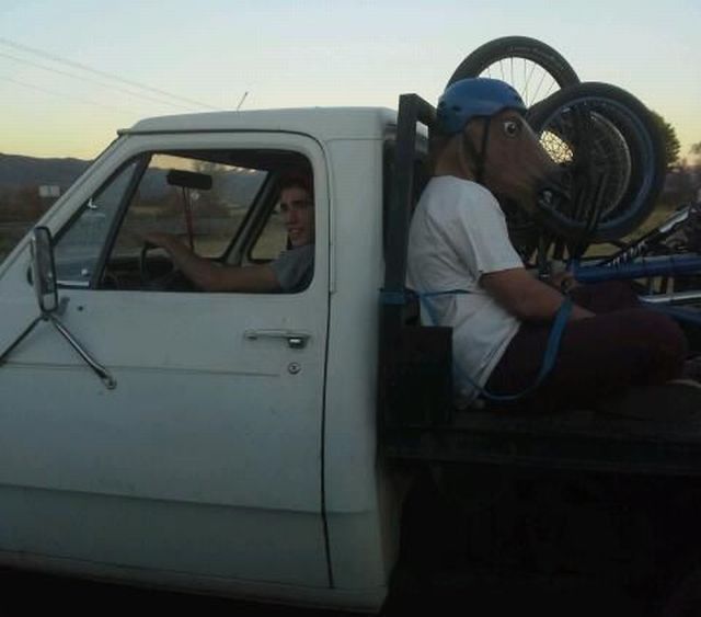 Morning Picdump