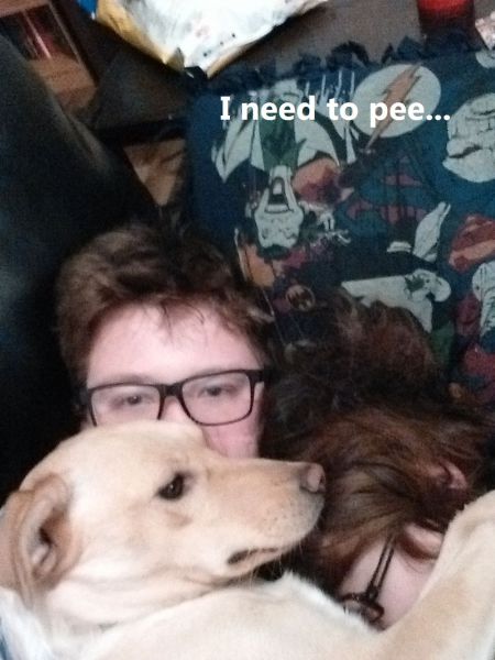 Morning Picdump