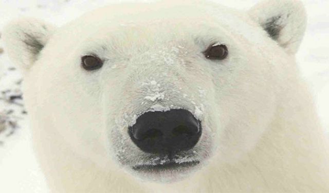 The Top Ways to Increase Your Chances of Dying Young