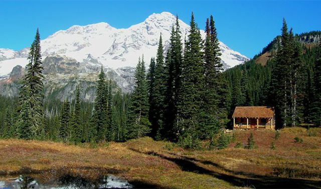 The Top Ways to Increase Your Chances of Dying Young