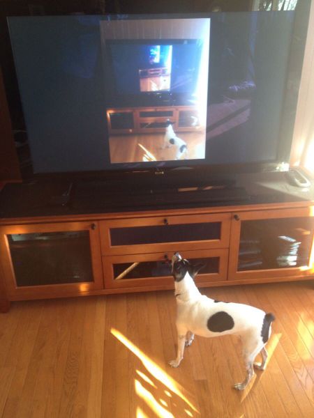 Morning Picdump