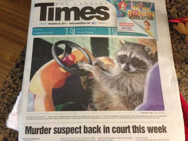 Morning Picdump