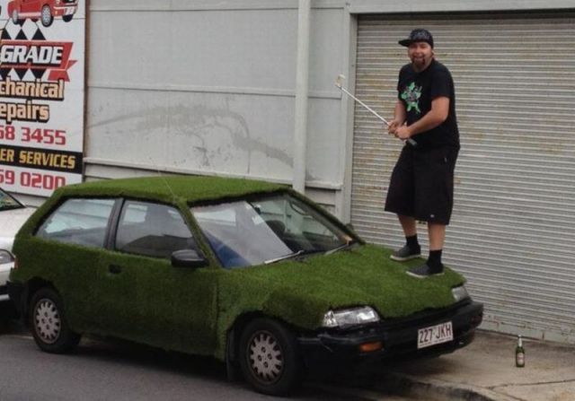 Morning Picdump