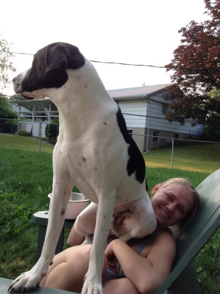 Morning Picdump