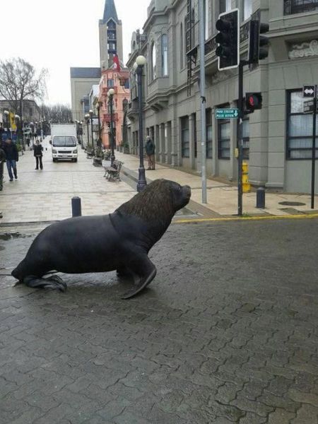 Morning Picdump