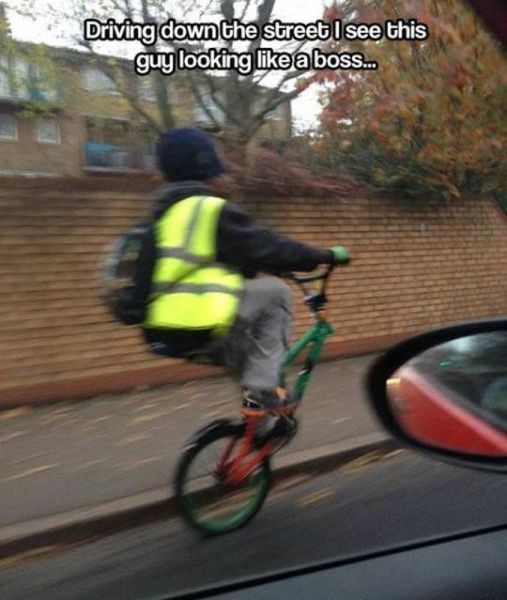 Morning Picdump