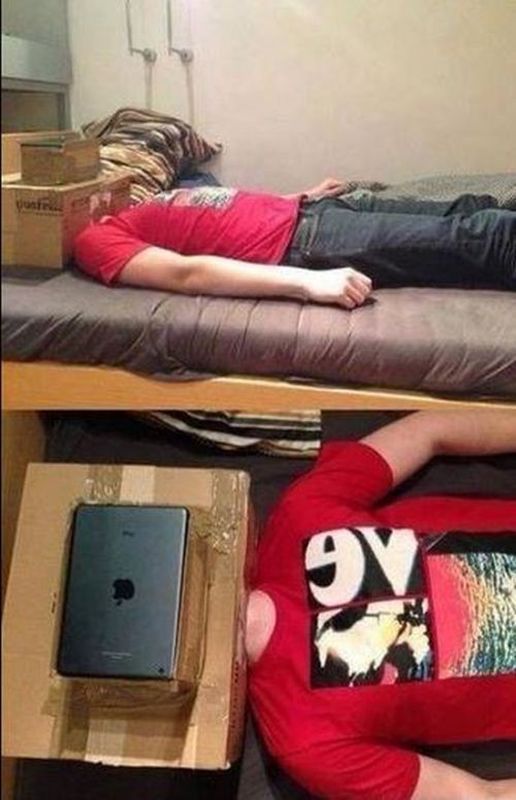 Morning Picdump