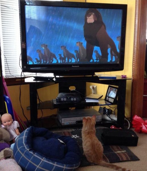 Morning Picdump