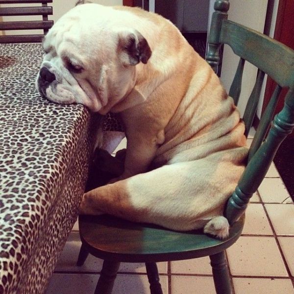 Morning Picdump