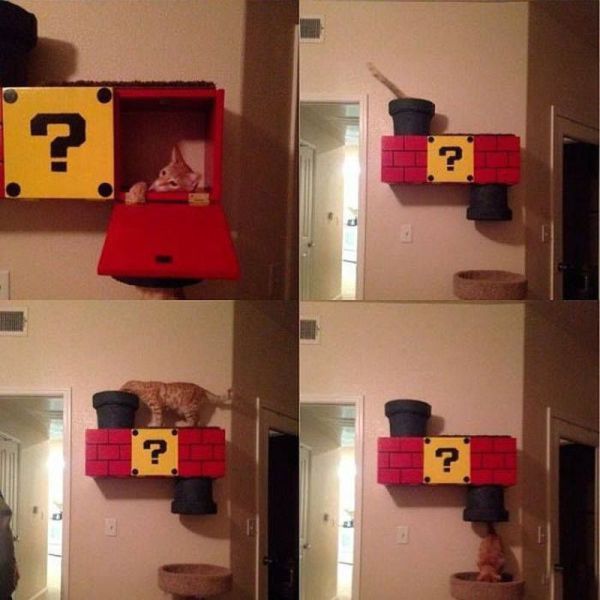 Morning Picdump