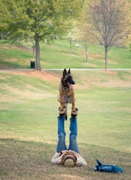 Morning Picdump