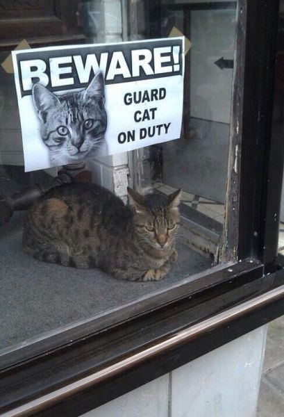 Morning Picdump
