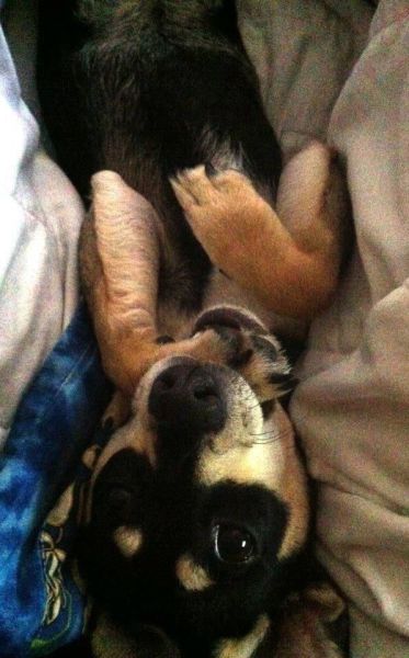 Morning Picdump