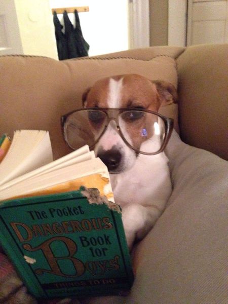 Morning Picdump