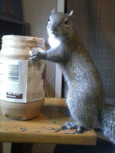 Morning Picdump