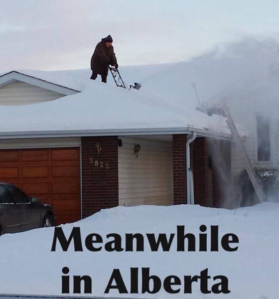 Morning Picdump