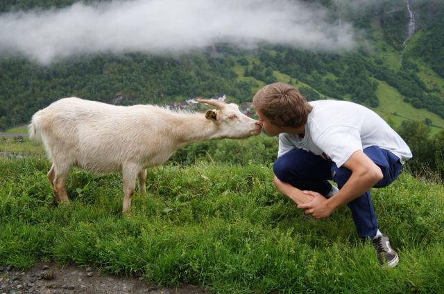 Morning Picdump