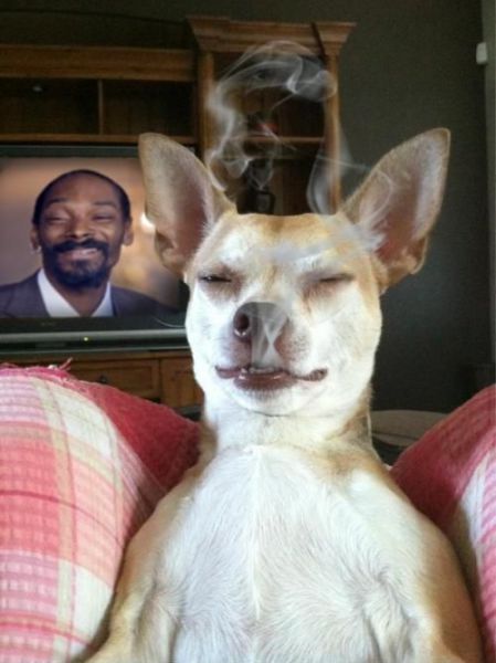 Morning Picdump