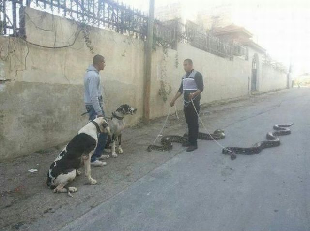 Morning Picdump