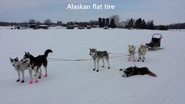 Morning Picdump