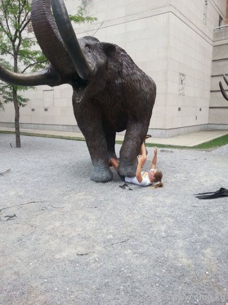 Morning Picdump