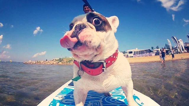 Morning Picdump