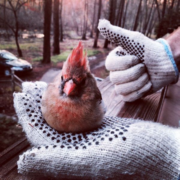 Morning Picdump