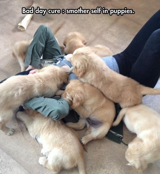 Morning Picdump