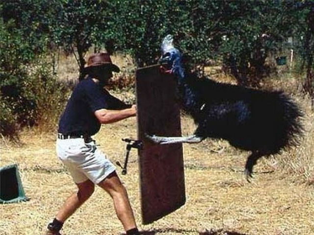 There Is Nothing Normal about Australia