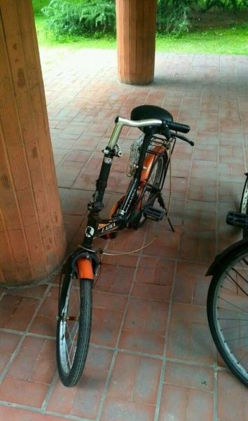 Things You Will Only See in Asia