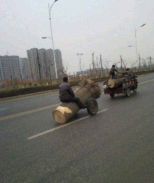 Things You Will Only See in Asia