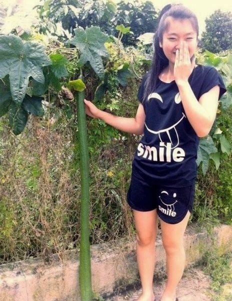 Things You Will Only See in Asia