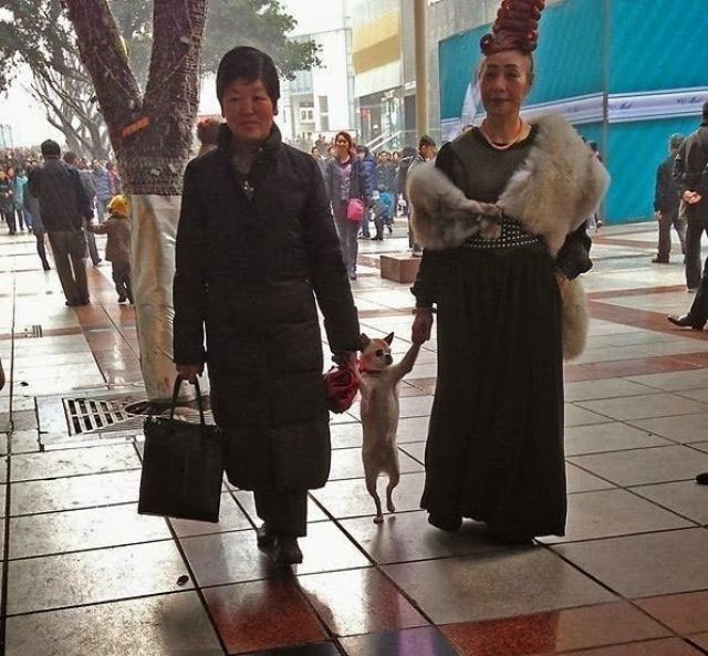 Things You Will Only See in Asia