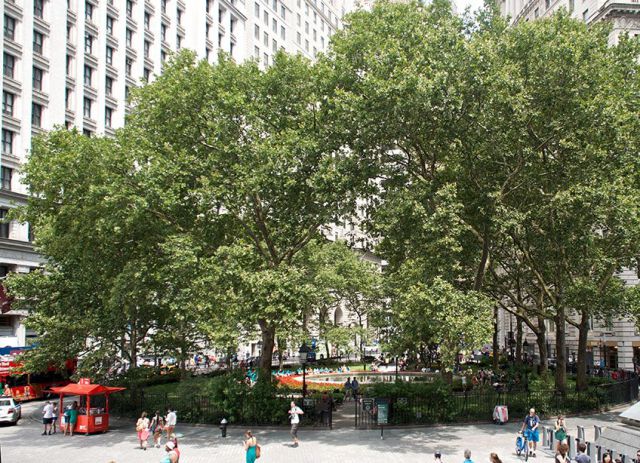 A Picture Comparison of New York City Past and Present
