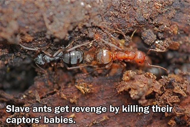 Interesting and Unusual Facts