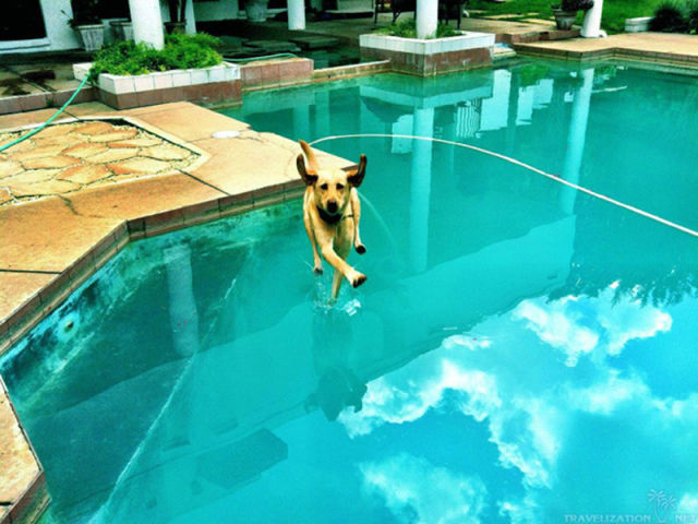 Brilliant Timing Creates Epic Photos