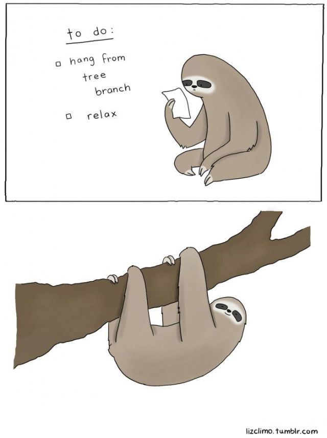 Funny Picdump