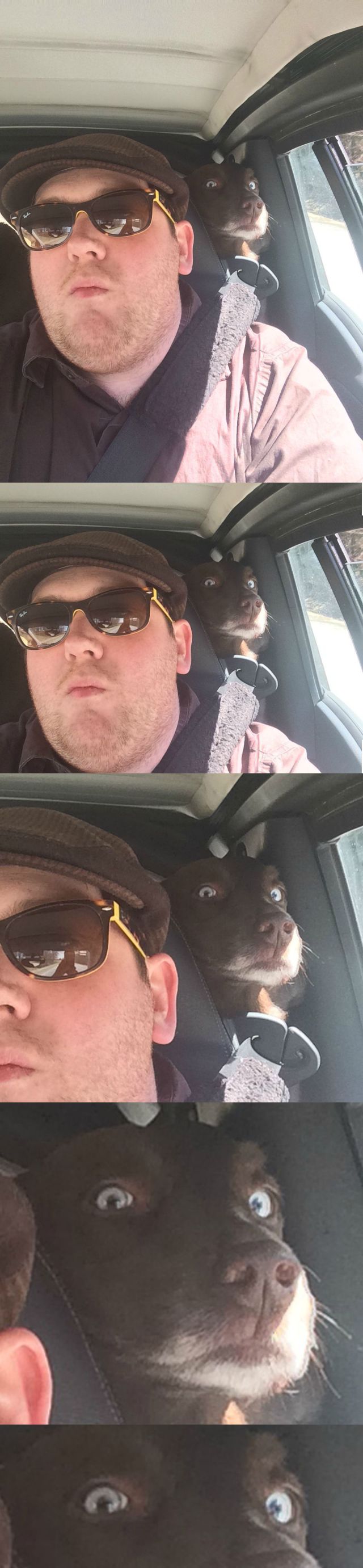Morning Picdump
