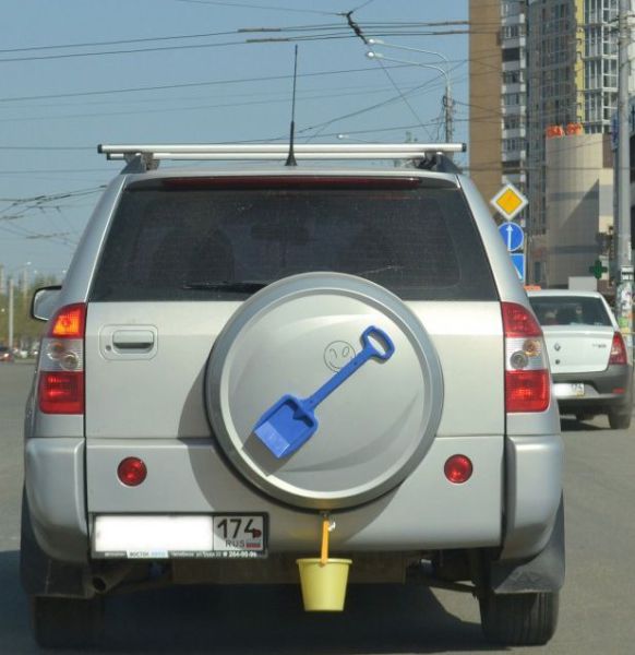 Morning Picdump