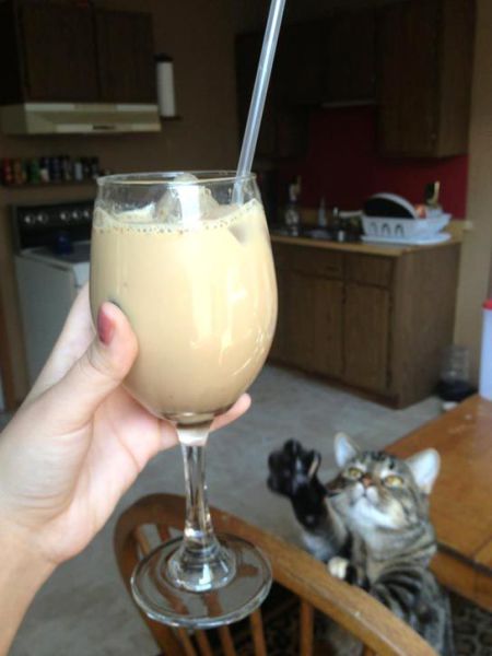 Morning Picdump