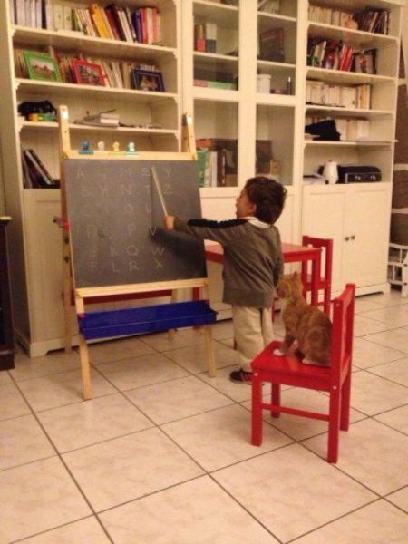 Morning Picdump
