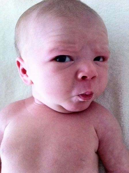 Morning Picdump