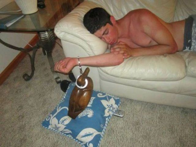 Morning Picdump