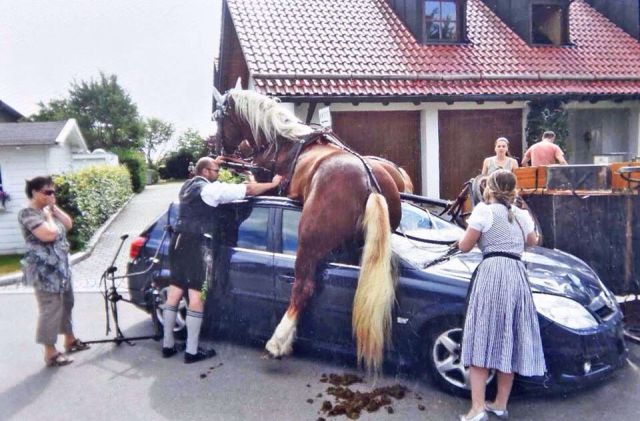 Morning Picdump