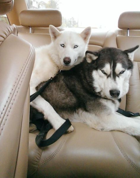 Morning Picdump