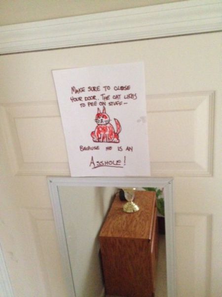 Crude Jokes That Will Cheer You Up