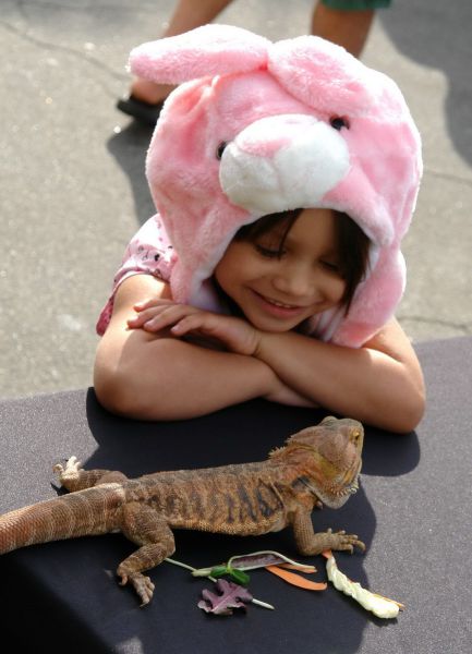 Morning Picdump