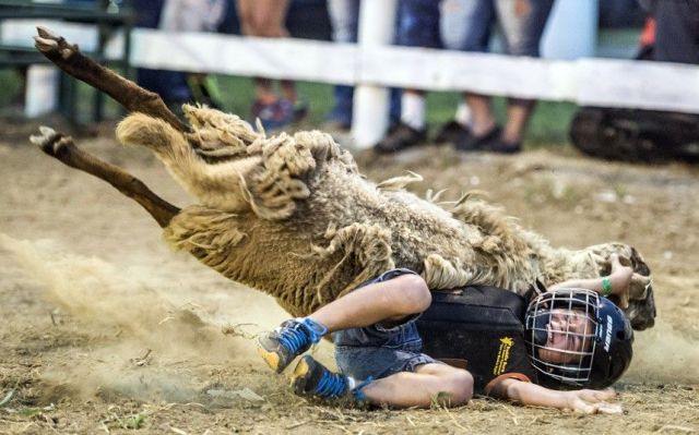 Morning Picdump