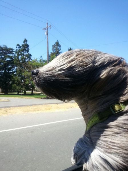 Morning Picdump