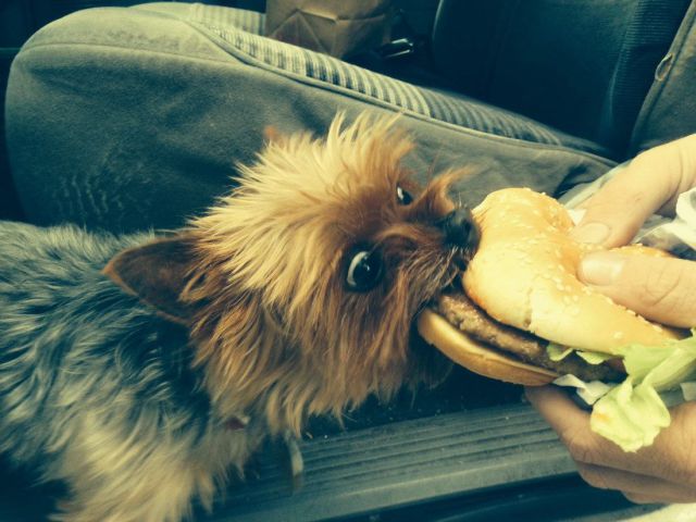 Morning Picdump